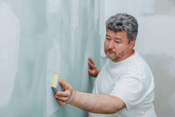 Best Mold Prevention Services  in Goodman, MO